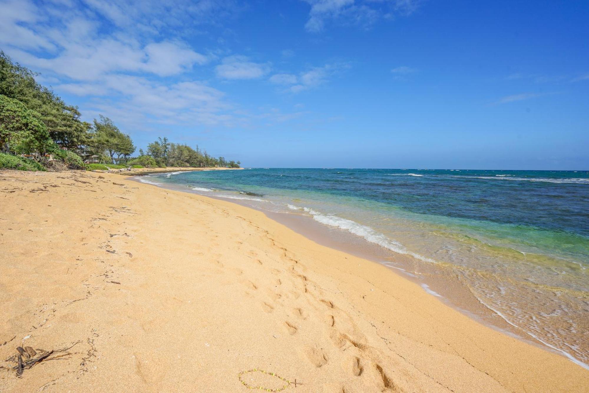 Islander On The Beach Kapa'a Camera foto